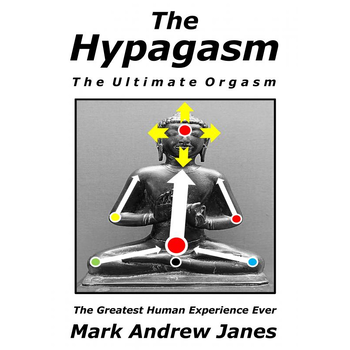 The Hypagasm - The Ultimate Orgasm (Paperback) bij Singel 344