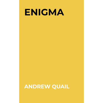 Enigma (Paperback) bij Singel 344