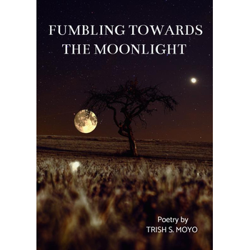 Fumbling towards the moonlight (Paperback) bij Singel 344