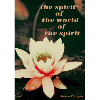 the spirit of the world of the spirit (Paperback) bij Singel 344