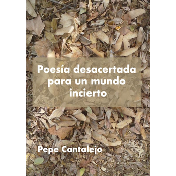 Poesía desacertada para un mundo incierto (Paperback) bij Singel 344