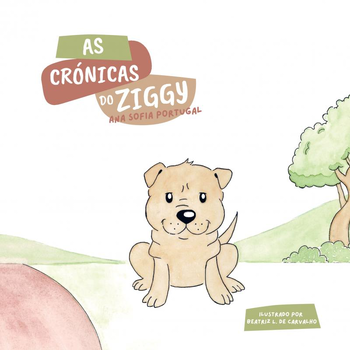 As Crónicas do Ziggy (Paperback) bij Singel 344