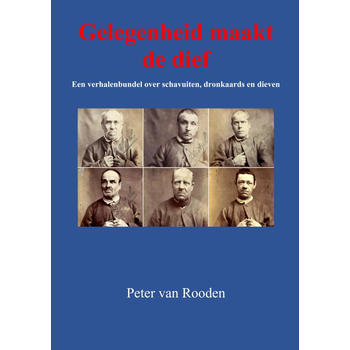 Gelegenheid maakt de dief (Paperback) bij Singel 344