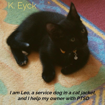 I'm Leo, a service dog in a cat jacket, and I'm helping my owner with PTSD (Hardback) bij Singel 344