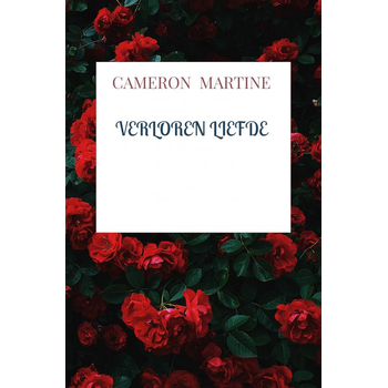Verloren liefde (Paperback) bij Singel 344