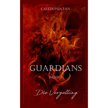 GUARDIANS - Die Vergeltung (Paperback) bij Singel 344