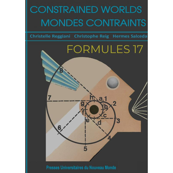 Formules 17 (Paperback) bij Singel 344