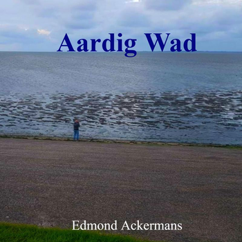Aardig Wad (Hardback) bij Singel 344