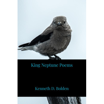 King Neptune Poems (Paperback) bij Singel 344