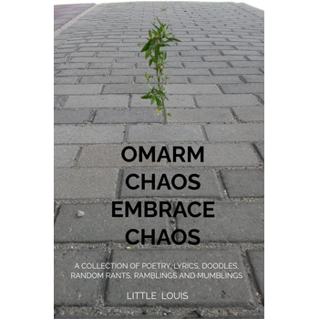 Omarm Chaos - Embrace Chaos (Paperback) bij Singel 344