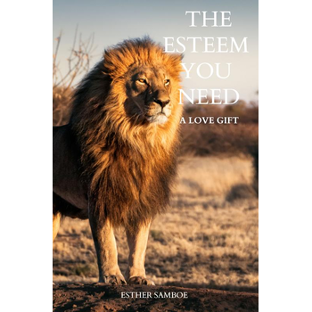 The esteem you need (Paperback) bij Singel 344