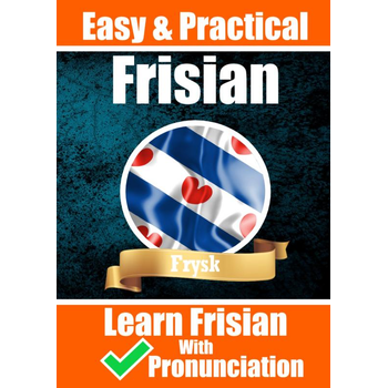 Learn it yourself | Frisian | Learn the Frisian Language (Paperback) bij Singel 344