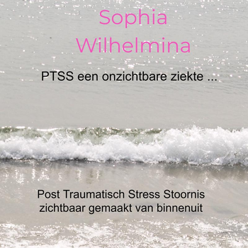 PTSS een onzichtbare ziekte ... (Hardback) bij Singel 344