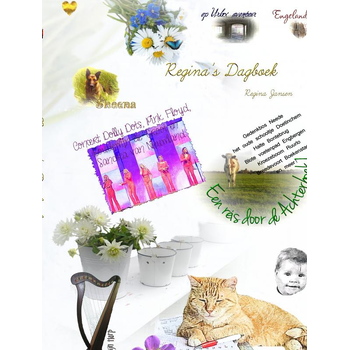 Regina's Dagboek (Hardback) bij Singel 344