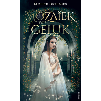 Mozaïek van Geluk (Paperback) bij Singel 344