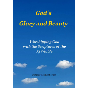 God´s Glory and Beauty (Paperback) bij Singel 344