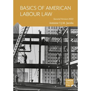Basics of American Labour Law (Paperback) bij Singel 344
