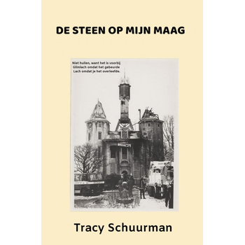 De steen op mijn maag (Paperback) bij Singel 344