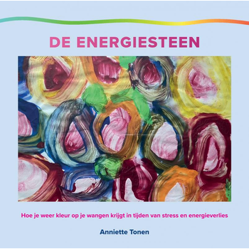 De energiesteen (Hardback) bij Singel 344