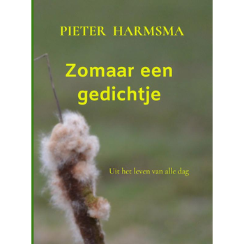 Zomaar een gedichtje (Paperback) bij Singel 344