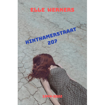 HINTHAMERSTRAAT 207 (Paperback) bij Singel 344