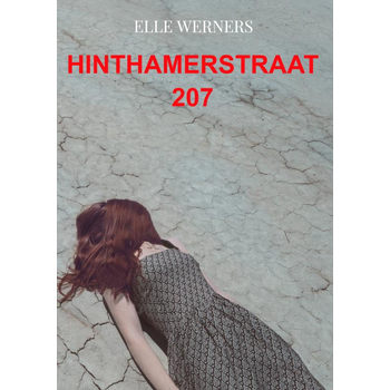 HINTHAMERSTRAAT 207 (Paperback) bij Singel 344