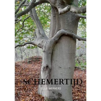 SCHEMERTIJD (Paperback) bij Singel 344