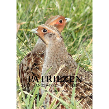 Patriezen (Hardback) bij Singel 344