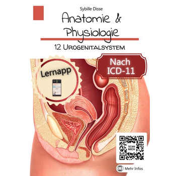 Anatomie & Physiologie Band 12: Urogenitalsystem (Paperback) bij Singel 344