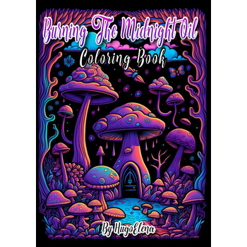 Burning the midnight oil (Paperback) bij Singel 344