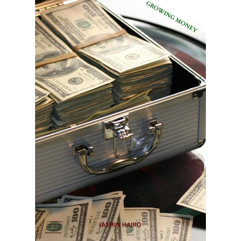Growing money (Paperback) bij Singel 344