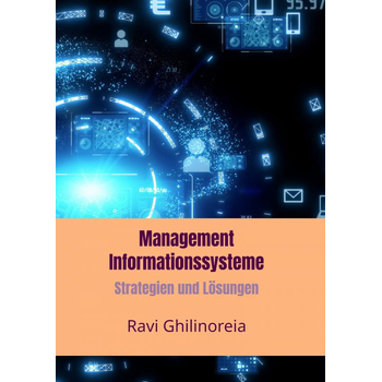 Management Informationssysteme (Paperback) bij Singel 344