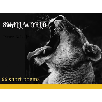 SMALL WORLD (Paperback) bij Singel 344