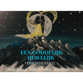 Een Goddelijk Huwelijk (Paperback) bij Singel 344