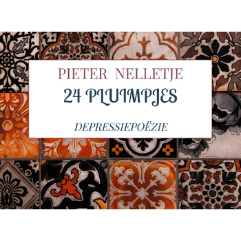 24 pluimpjes (Paperback) bij Singel 344