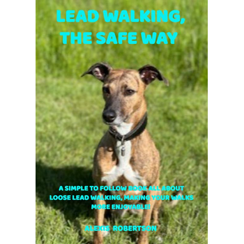 Lead walking, the safe way (Paperback) bij Singel 344