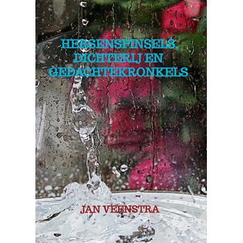 Hersenspinsels, dichterij en gedachtekronkels (Paperback) bij Singel 344