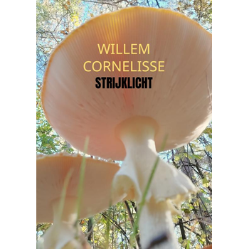 Strijklicht (Paperback) bij Singel 344