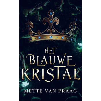 Het blauwe kristal (Paperback) bij Singel 344