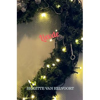 Lievde (Paperback) bij Singel 344