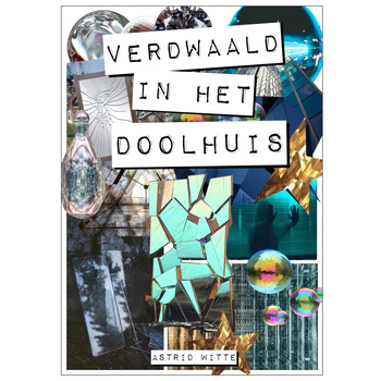 Verdwaald in het doolhuis (Paperback) bij Singel 344
