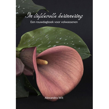 In liefdevolle herinnering (Paperback) bij Singel 344