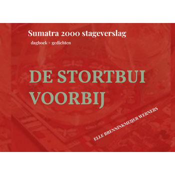 DE STORTBUI VOORBIJ (Paperback) bij Singel 344