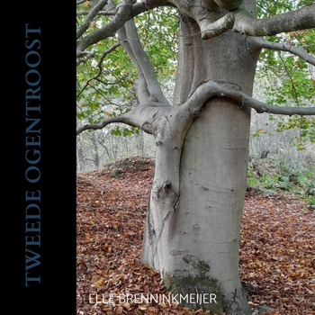 TWEEDE OGENTROOST (Paperback) bij Singel 344