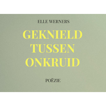 GEKNIELD TUSSEN ONKRUID (Paperback) bij Singel 344