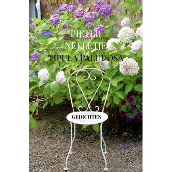TIPULA PALUDOSA (Paperback) bij Singel 344