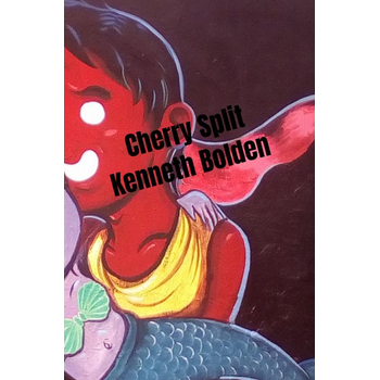 Cherry Split Kenneth Bolden (Paperback) bij Singel 344