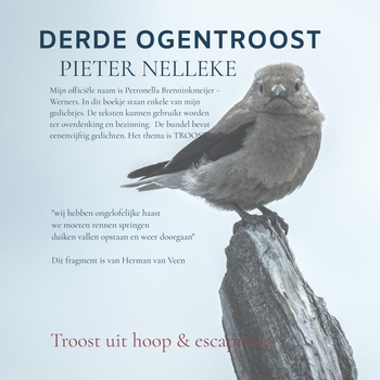 DERDE OGENTROOST (Paperback) van PIETER NELLEKE