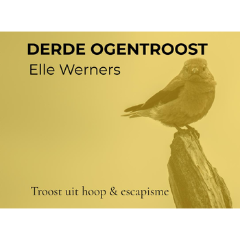 DERDE OGENTROOST (Paperback) bij Singel 344