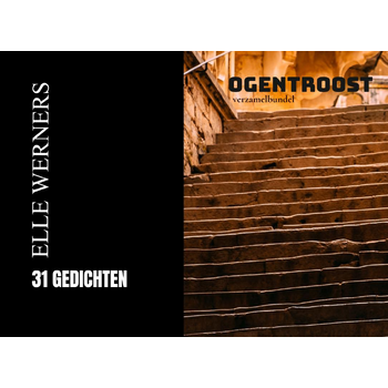 OGENTROOST II (Paperback) bij Singel 344